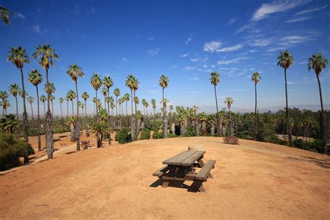 citrus park in riverside.